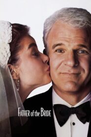 Father of the Bride 1991 on netflix