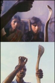Serpent Mother 1985 on netflix