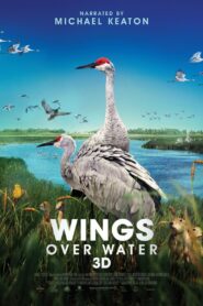 Wings Over Water 2022 on netflix