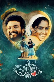 Pyppin Chuvattile Pranayam 2017 on netflix