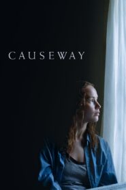 Causeway 2022 on netflix