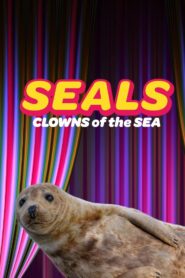 Seals – Clowns of the Sea 2021 on netflix