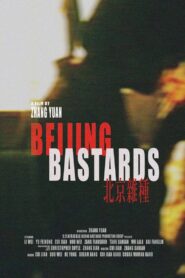 Beijing Bastards 1993 on netflix