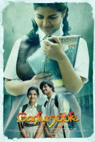 Gantumoote 2019 on netflix