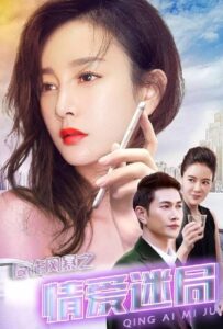 Anti-Fraud Storm: Puzzle of Love 2017 on netflix