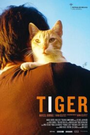 Tiger 2016 on netflix