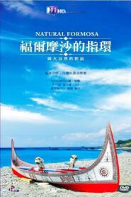 福尔摩沙的指环 2009 on netflix