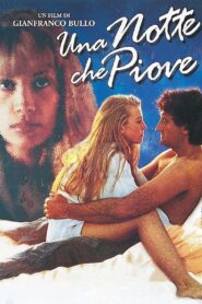 A Night Full of Rain 1995 on netflix