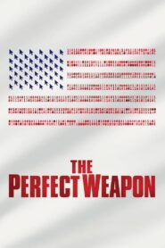 The Perfect Weapon 2020 on netflix