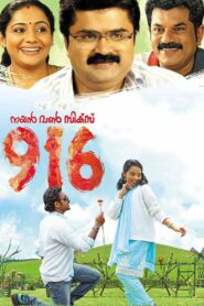 916 2012 on netflix