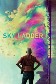 Sky Ladder: The Art of Cai Guo-Qiang 2017 on netflix