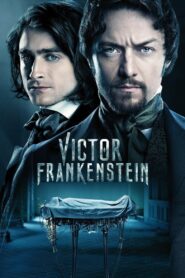 Victor Frankenstein 2015 on netflix