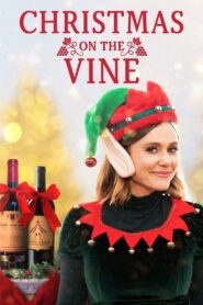 Christmas on the Vine 2020 on netflix