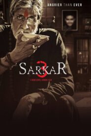 Sarkar 3 2017 on netflix