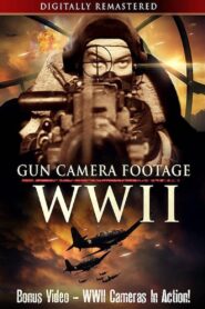 Gun Camera Footage WWII 2020 on netflix