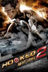Hooked on the Game 2. The Next Level 2010 on netflix