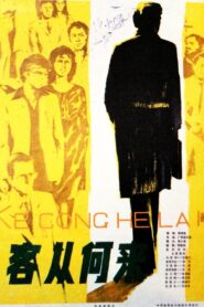 Ke cong he lai 1980 on netflix