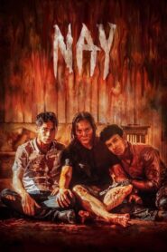 Nay 2017 on netflix
