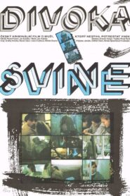 Divoká svině 1990 on netflix