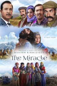 The Miracle 2015 on netflix