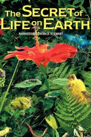 The Secret of Life on Earth 1993 on netflix