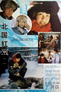 Bei guo hong dou 1984 on netflix