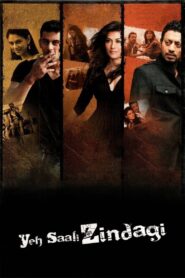 Yeh Saali Zindagi 2011 on netflix
