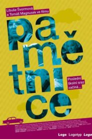 Pamětnice 2009 on netflix