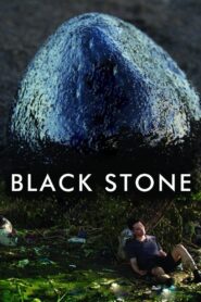 Black Stone 2016 on netflix