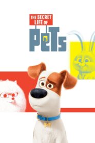 The Secret Life of Pets 2016 on netflix