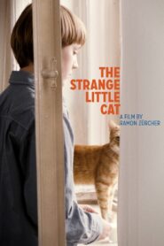 The Strange Little Cat 2013 on netflix