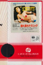 Asami Ogawa: Female SEX Counselor, Wet Technique 1981 on netflix