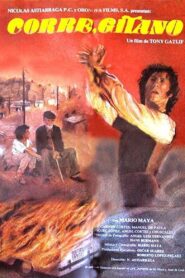 Corre, gitano 1982 on netflix