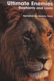 Ultimate Enemies: Elephants and Lions 2003 on netflix