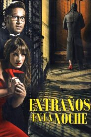 Strangers in the Night 2012 on netflix