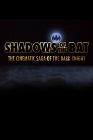 Shadows of the Bat: The Cinematic Saga of the Dark Knight 2008 on netflix