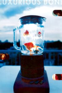 Luxurious Bone 2001 on netflix