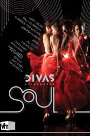 VH1 Divas Celebrates Soul 2011 on netflix