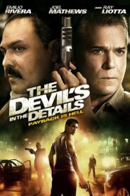 The Devil’s in the Details 2013 on netflix