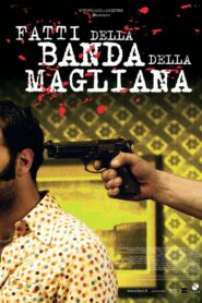 Fatti della banda della Magliana 2005 on netflix