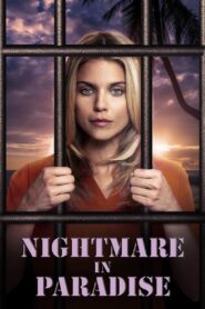 Anniversary Nightmare 2019 on netflix