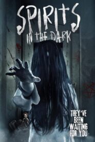 Spirits in the Dark 2020 on netflix