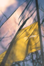 Despair and Defiance: The Battle for Ukraine 2022 on netflix