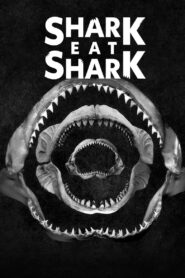 Shark Eat Shark 2023 on netflix