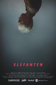 Elefanten 2017 on netflix