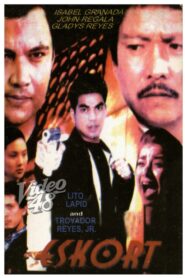 Eskort 2000 on netflix