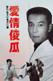 爱情傻瓜 1993 on netflix