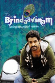 Brindavanam 2010 on netflix