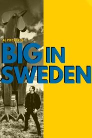 Al Pitcher – Big in Sweden 2019 on netflix