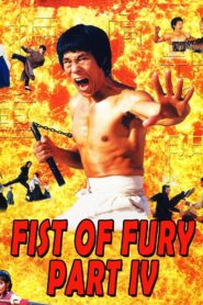 Return of Dragon 1998 on netflix